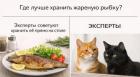 Прикрепленное изображение: 1770105769.jpg