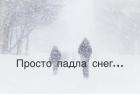 Прикрепленное изображение: 622227310_26049869591274507_7468596887351928879_n.jpg