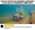 Прикрепленное изображение: 1771707645.jpg