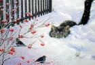 Прикрепленное изображение: Екатерина Штуц.jpg