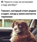 Прикрепленное изображение: Таксист.jpg