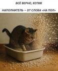 Прикрепленное изображение: Наполнитель.jpg