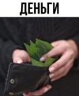 Прикрепленное изображение: 01.jpg