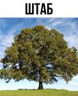 Прикрепленное изображение: 03.jpg