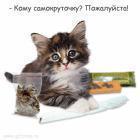 Прикрепленное изображение: 39.gif