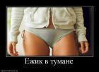 Прикрепленное изображение: YOzhik.jpg