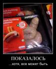Прикрепленное изображение: 5.JPG