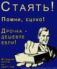 Прикрепленное изображение: 16762.jpg
