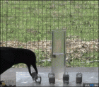 Прикрепленное изображение: 0_v.gif