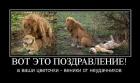 Прикрепленное изображение: 1362638113_prikoly-k-8-marta-22.jpg