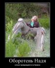 Прикрепленное изображение: eod.jpg