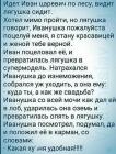 Прикрепленное изображение: 9d0f18f16733d7a33269b0ee721e63cc.jpg