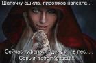 Прикрепленное изображение: Ш1.jpg