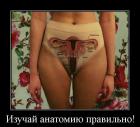 Прикрепленное изображение: image.jpeg