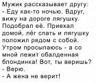 Прикрепленное изображение: CURxhxn9BkM.jpg