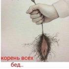 Прикрепленное изображение: 8740123659.jpg