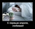 Прикрепленное изображение: 11475489500.jpg