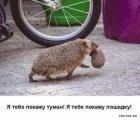 Прикрепленное изображение: 1582966720.jpg