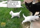 Прикрепленное изображение: 1585132601.jpg
