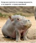 Прикрепленное изображение: 1583398723.jpg