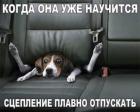 Прикрепленное изображение: 1583153077.jpg