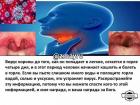 Прикрепленное изображение: IMG_20200319_144658_265.jpg