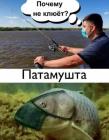 Прикрепленное изображение: 1614776022.jpg
