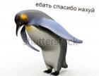 Прикрепленное изображение: Ебать, спасибо нахуй!.jpg