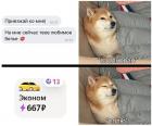 Прикрепленное изображение: photo_2021-03-22_23-28-41.jpg