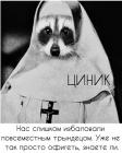 Прикрепленное изображение: -usbBsjjciA.jpg
