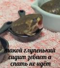 Прикрепленное изображение: photo_2021-03-14_00-59-34.jpg