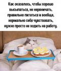 Прикрепленное изображение: Котик не ходит на работу.jpg