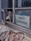 Прикрепленное изображение: 1648391650.jpg
