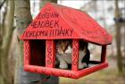 Прикрепленное изображение: Котик в кормушке.jpg