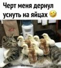 Прикрепленное изображение: 1679123782.jpg