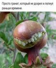Прикрепленное изображение: 1678092146.jpg