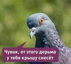 Прикрепленное изображение: TnA4Ff7ECKoBdI22OqPkwVTi5YMN7B1aPr7JwvoWVZUdXm55eHgS6Yt0rQjd4GqBzi19rlnnDVjpmIuNEIRXDD2E.jpg