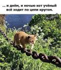 Прикрепленное изображение: poshel-pet-pesnyu_4766.jpg
