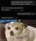 Прикрепленное изображение: Банковские реквизиты.jpg