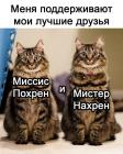Прикрепленное изображение: Лучшие друзья.jpg