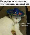 Прикрепленное изображение: Летом пишет в рабочий чат.jpg