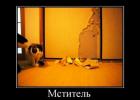 Прикрепленное изображение: Мститель.jpg