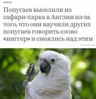 Прикрепленное изображение: i-do-popugaev-uzhe_82878.jpg