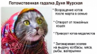 Прикрепленное изображение: gadalka-dlya-kotov_32377.png