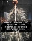 Прикрепленное изображение: 1743022170.jpg