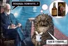Прикрепленное изображение: 1741324428.jpg