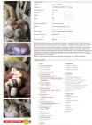 Прикрепленное изображение: Снимок.JPG