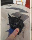 Прикрепленное изображение: er5GD8C1w9bL.jpg