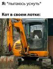 Прикрепленное изображение: Кот в своем лотке.jpg
