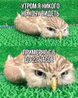 Прикрепленное изображение: Никого не хочу видеть.jpg